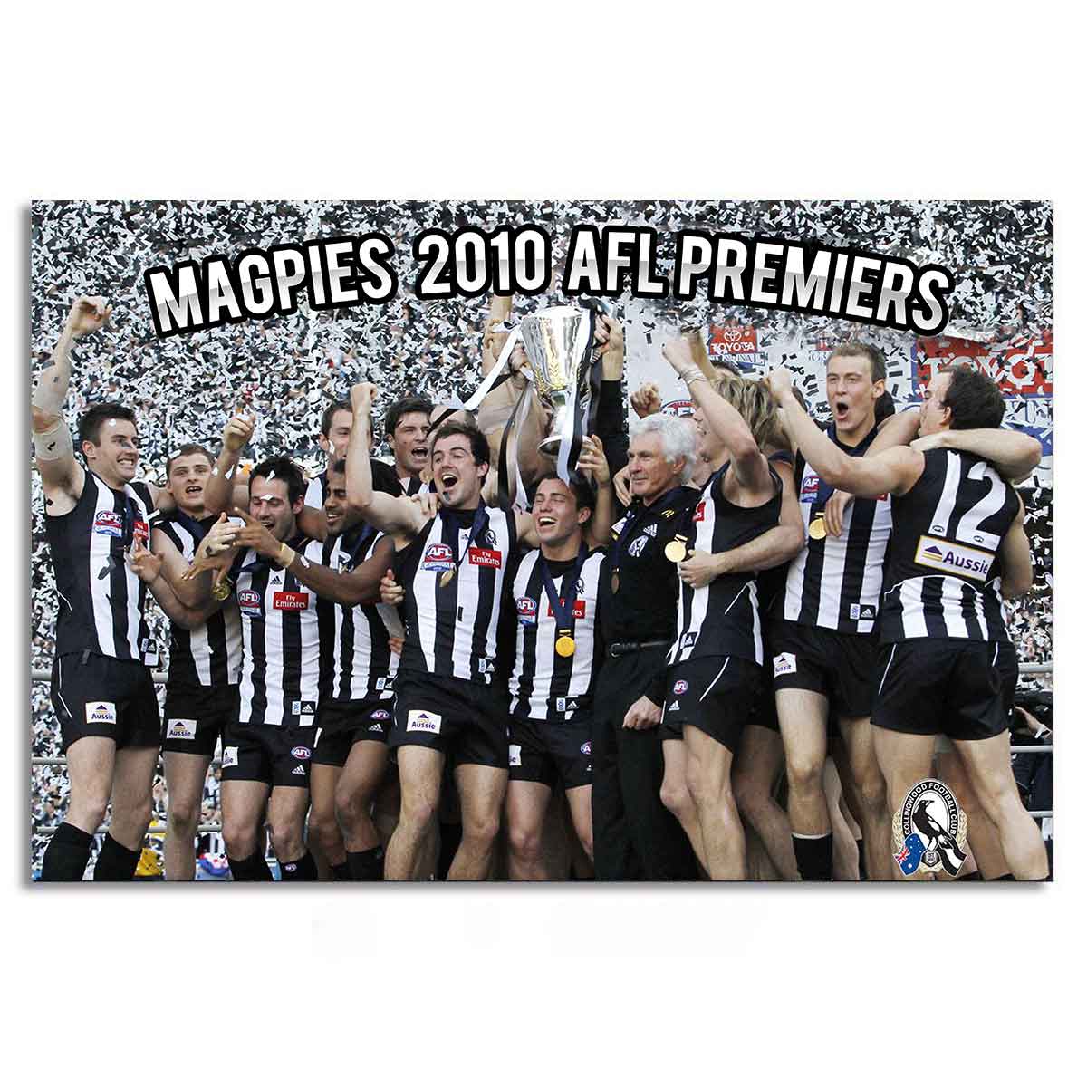 MAGPIES WALL CANVAS